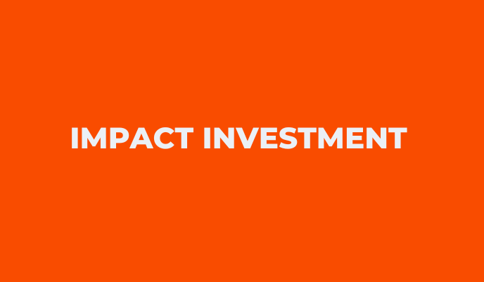 Impact Investment